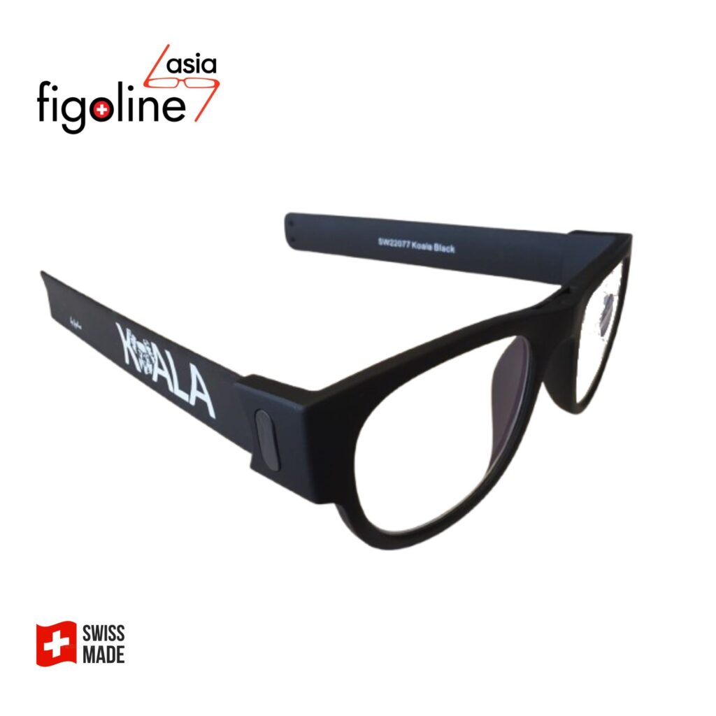 figoline asia_LOGO (1).pdf (7)